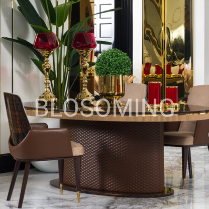 luxery Living Room Set