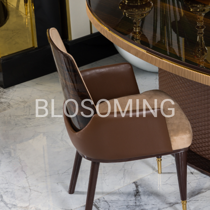 luxery Living Room Set