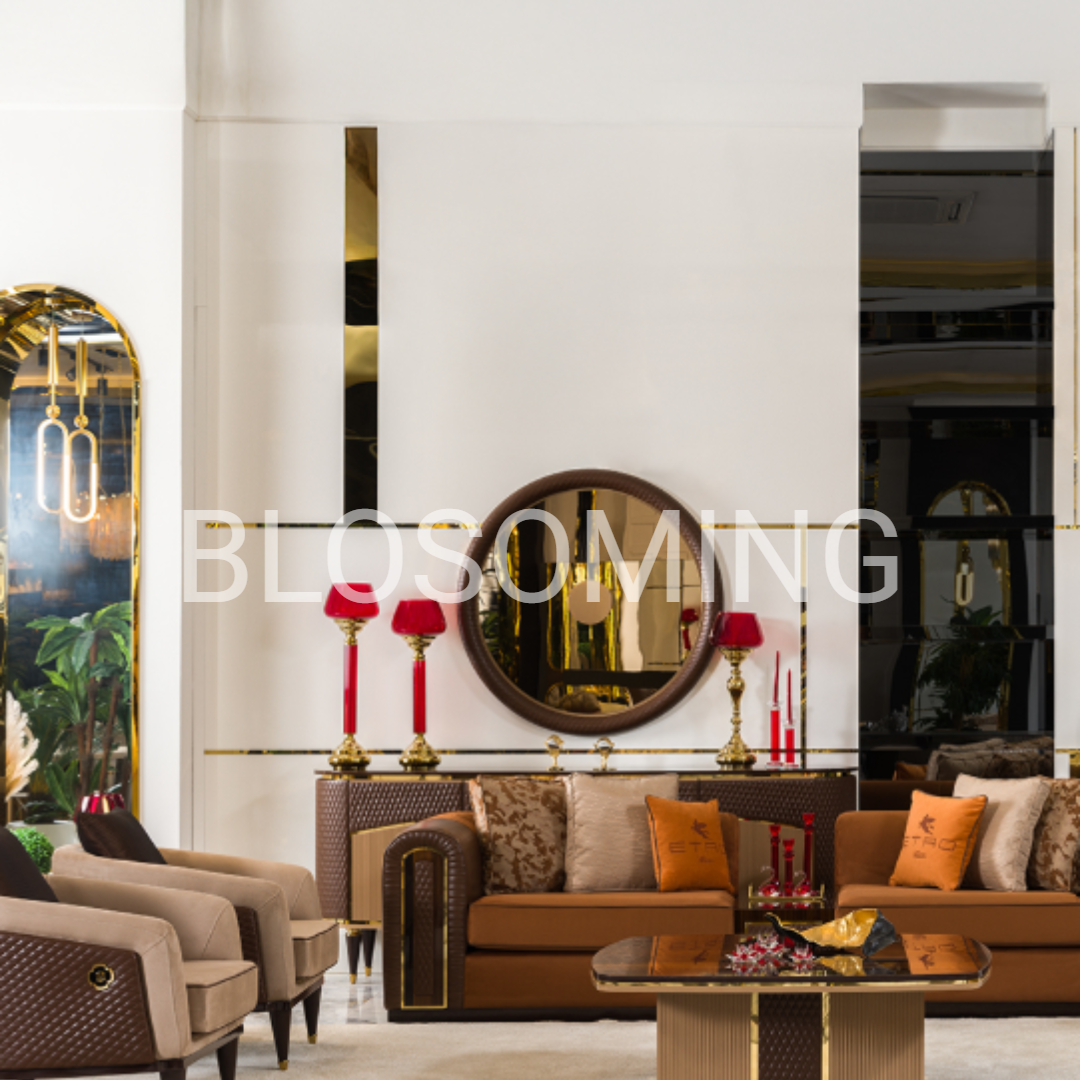 luxery Living Room Set