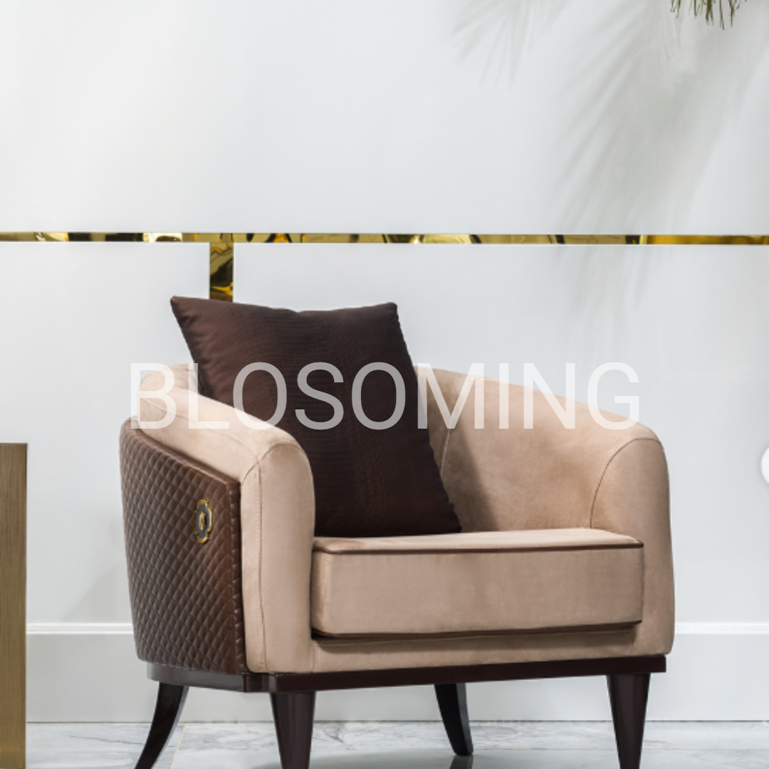 luxery Living Room Set