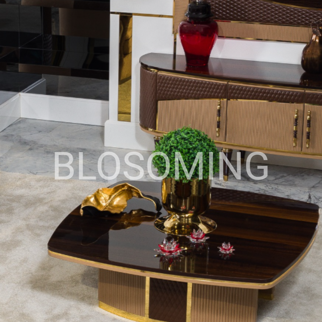 luxery Living Room Set