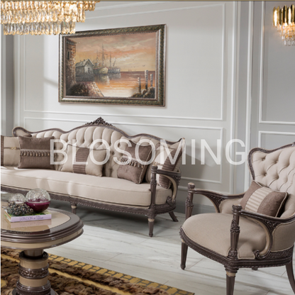 Hand Maded Premium Sofa set & Living Room Set
