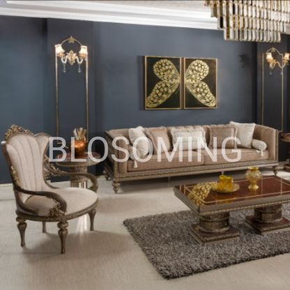 Luxery Living Room Sofa Set