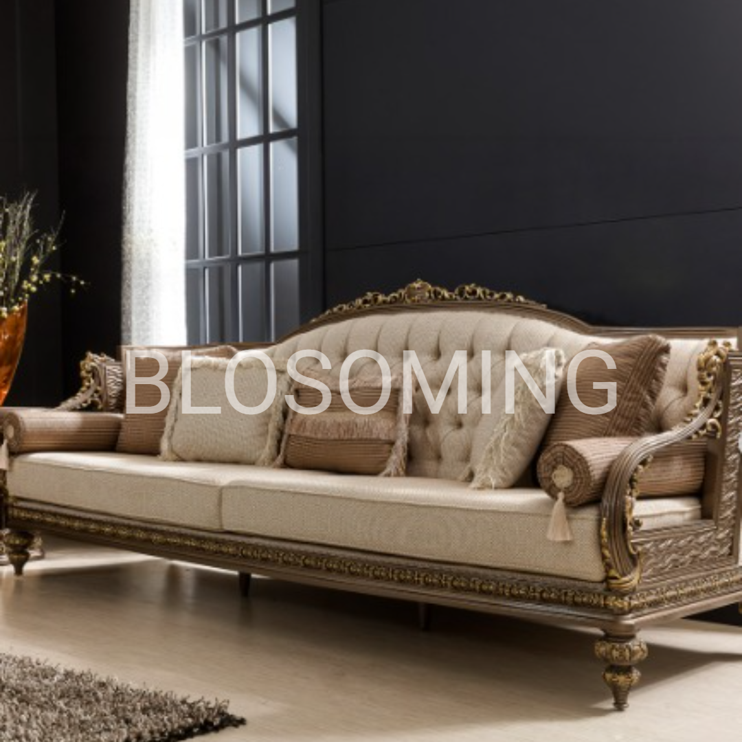 Luxery Living Room Sofa Set