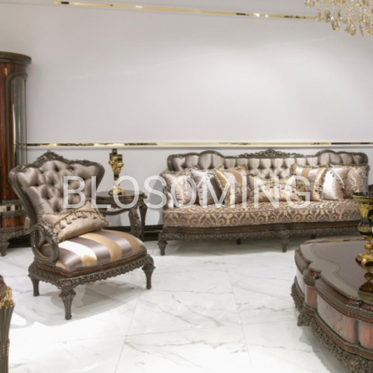 Luxery Living ROom Sofa Set ( Gray Color )