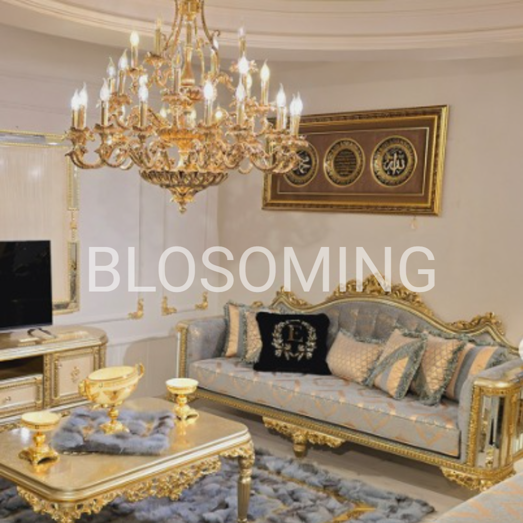 Classic Style Living Room & Bed Room Set
