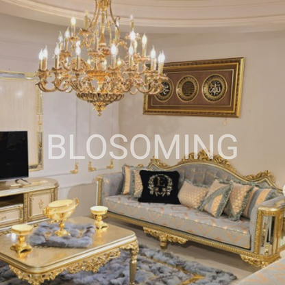 Classic Style Living Room & Bed Room Set