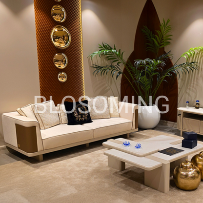 Premium Sofa Set