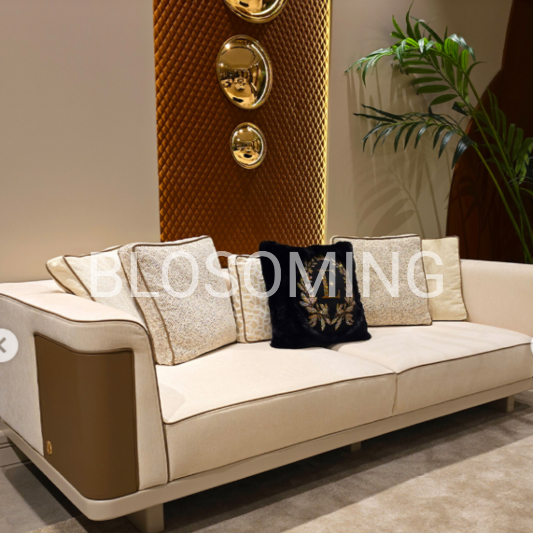 Premium Sofa Set