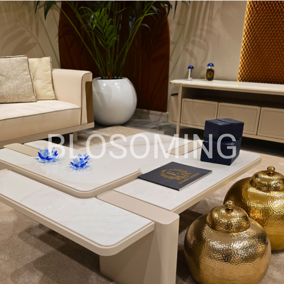 Premium Sofa Set