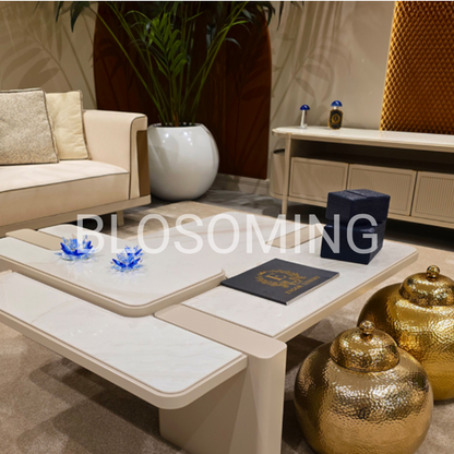 Premium Sofa Set